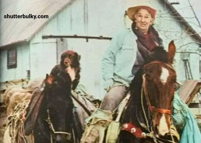 annie wilkins Maine farmer amazing story