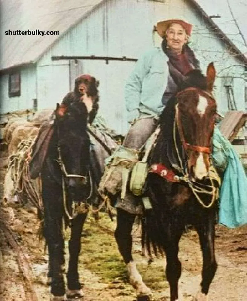 Annie Wilkins Maine farmer photos of Annie wilkins horse
photos of annie wilkins dog