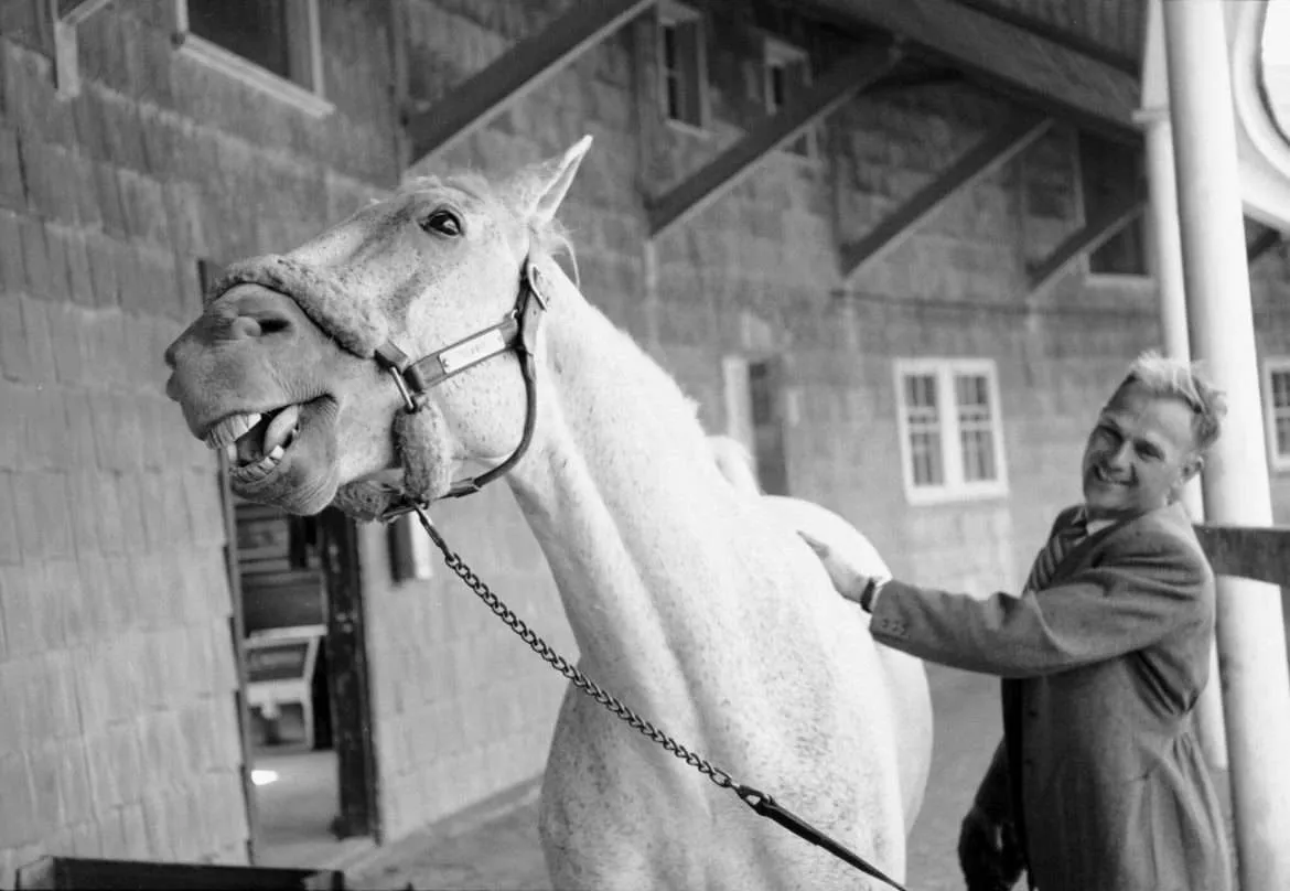 Horse Trainer Harry deLeyer spent his last $80 to save a horse and made him a Legend 3
