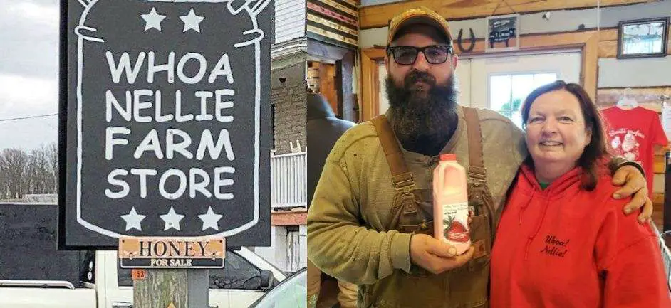 Pennsylvania-Dairy-Farmer-Decides-to-Bottle-His-Own-Milk-Rather-than-Dump-It.-Sells-Out-in-Hours-with-Westmoreland-residents-support-shutterbulky