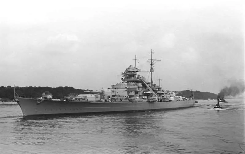 Unsinkable Sam, The Cat Who Survived Three Shipwrecks In WWII