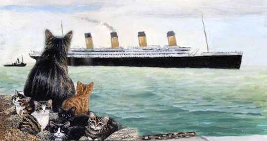 The Titanic Cat Jenny's Story - ShutterBulky