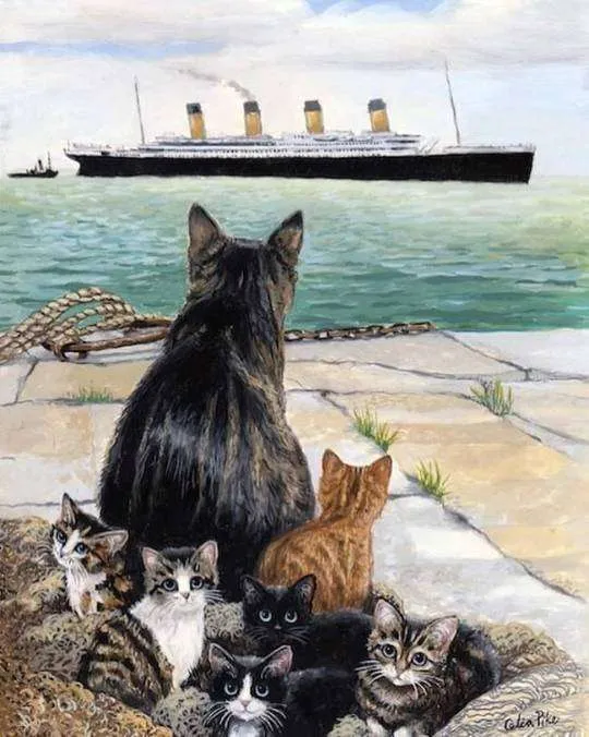 titanic cat jenny