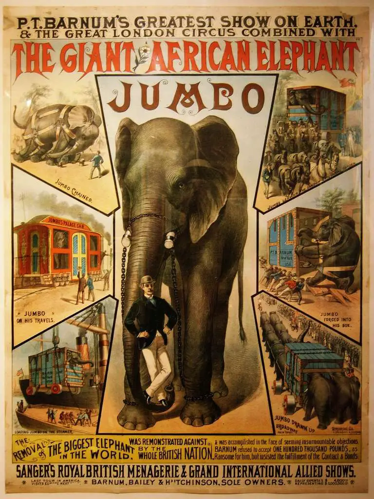 Poster of Jumbo the Elephant | Wikipedia