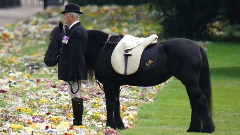 Quiet Honors Paid By The Queen's Favorite Pony Emma