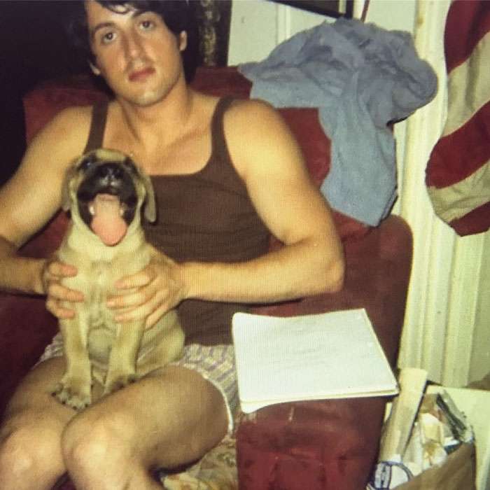 Sylvester Stallone's dog