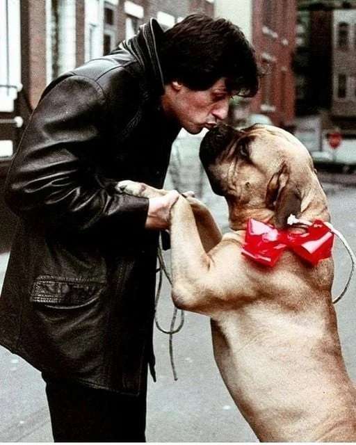 Sylvester Stallone's dog