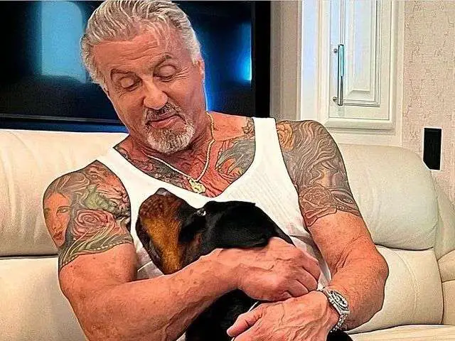 Sylvester Stallone's dog