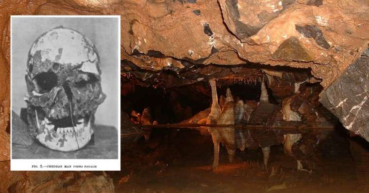 DNA of a 9000-year-old Cheddar Man & English History Teacher was Same!