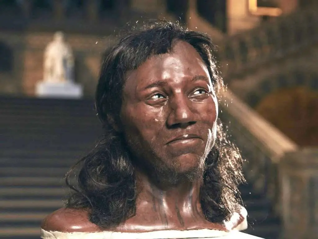 DNA of a 9000-year-old Cheddar Man & English History Teacher was Same!