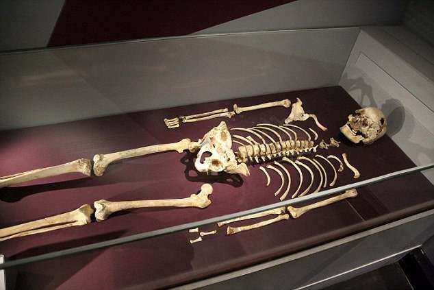 DNA of a 9000-year-old Cheddar Man & English History Teacher was Same!