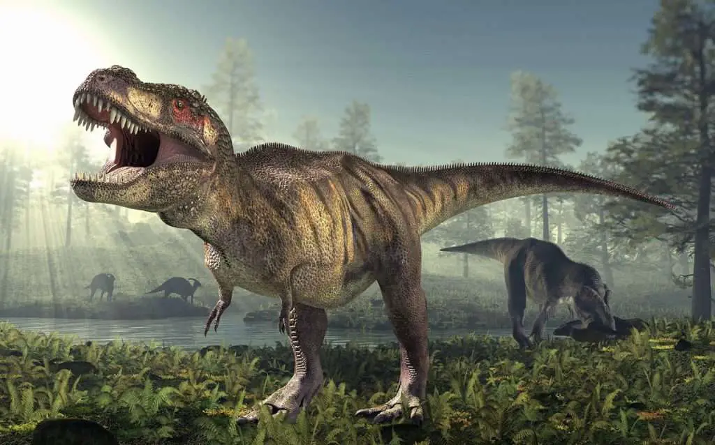 A new calculation reveals that Tyrannosaurus Rex might have been larger and heavier (1)