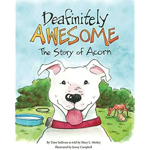 DEAFinitely Awesome The Story of Acorn