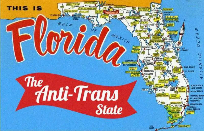 Florida bans doctors from providing gender-affirming treatments to minors