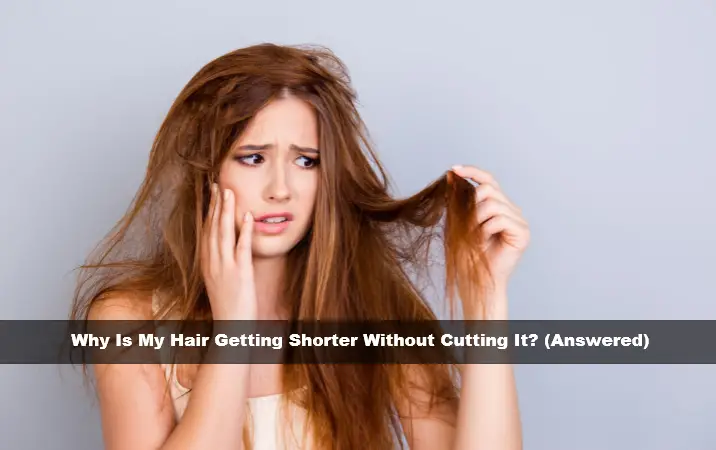 Why Is My Hair Getting Shorter Without Cutting It? (Answered)