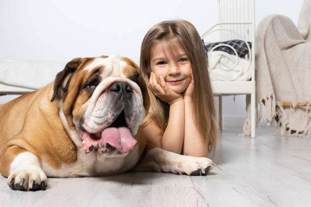 Do English Bulldogs Pick A Favorite Person