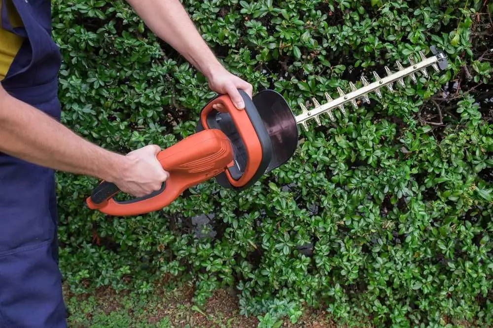 Best Hand Held Hedge Trimmers on Amazon 1