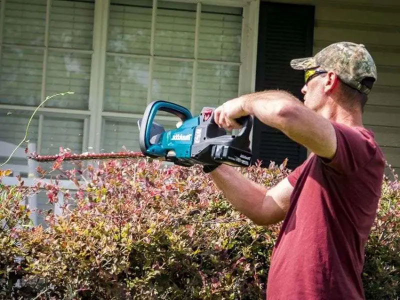 The Best Cordless Hedge Trimmers for Your Lawn 1