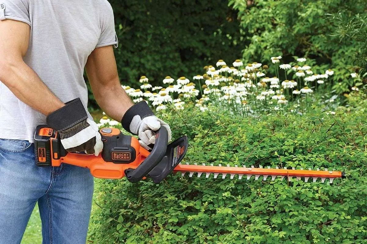 The Best Cordless Hedge Trimmers for Your Lawn ShutterBulky