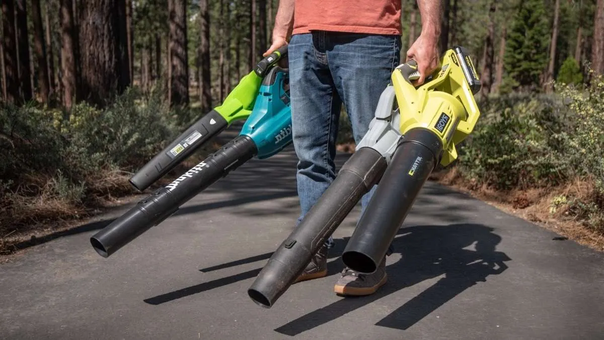Top Rated Battery Leaf Blowers 2023 The Benefits, Factors to Consider