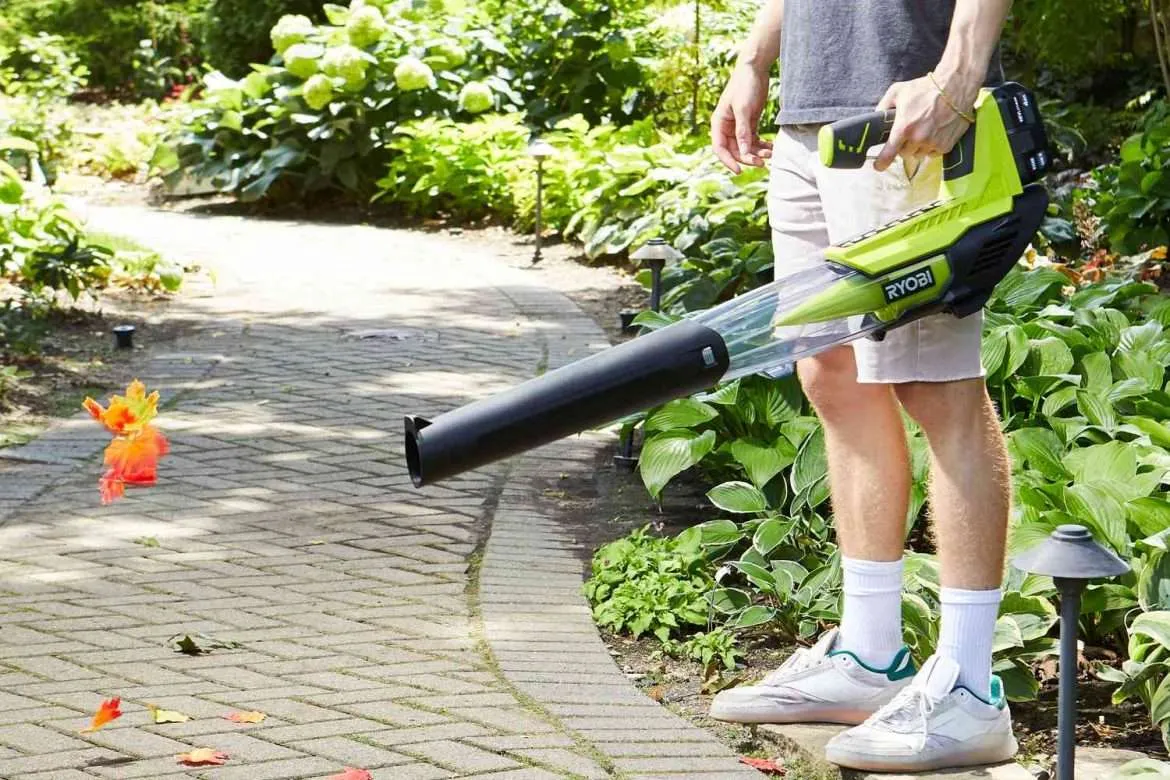 Best Cordless Leaf Blowers Top Picks and Buying Guide ShutterBulky