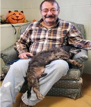 dog adoption story