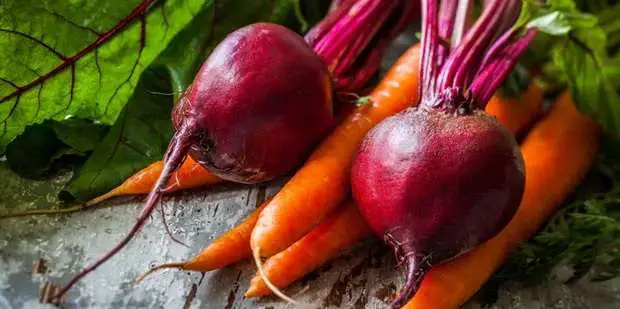 beet root and carrot for gray hair how to dye hair naturally
