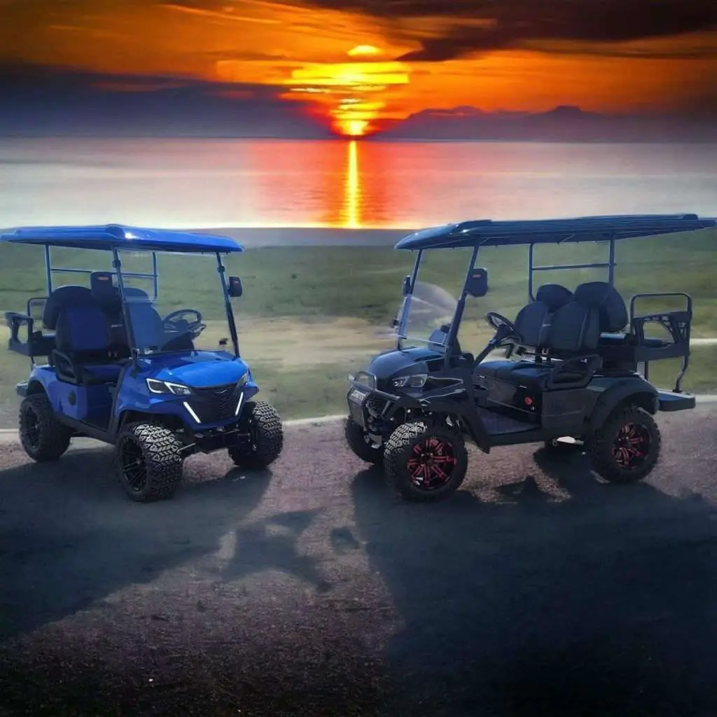 Shan Dong Elecrtic Golf Carts