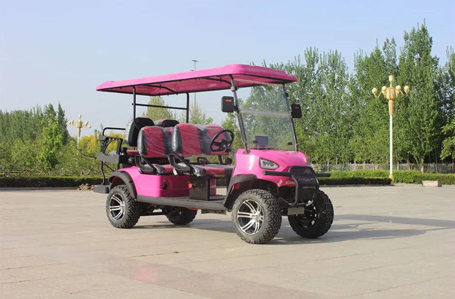 shan dong golf cart electric