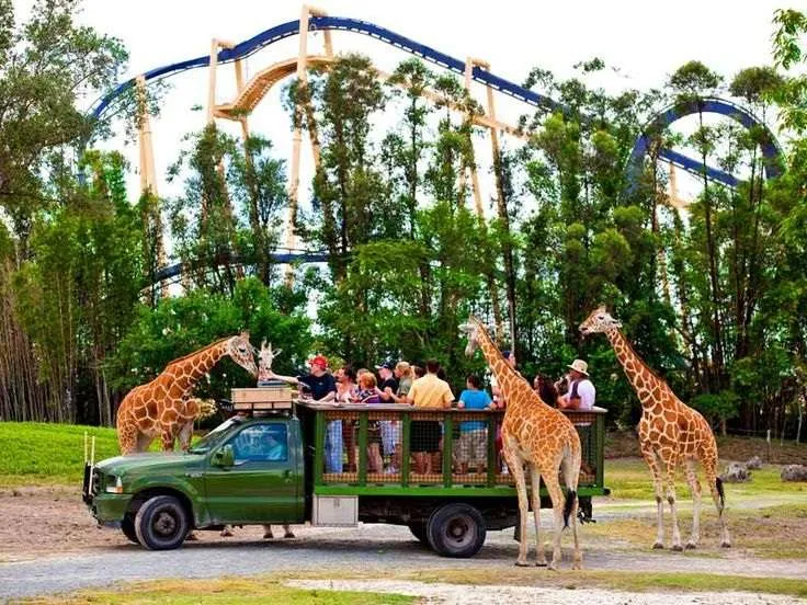 Family-Friendly Places to Visit in Florida Busch Gardens Tampa Bay